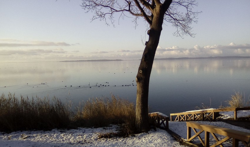 Winter am Salzhaff