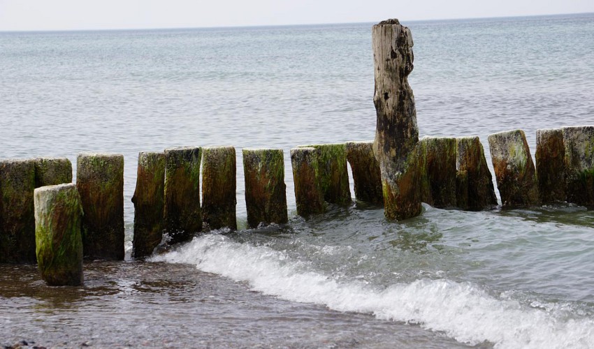 Ostseewellen