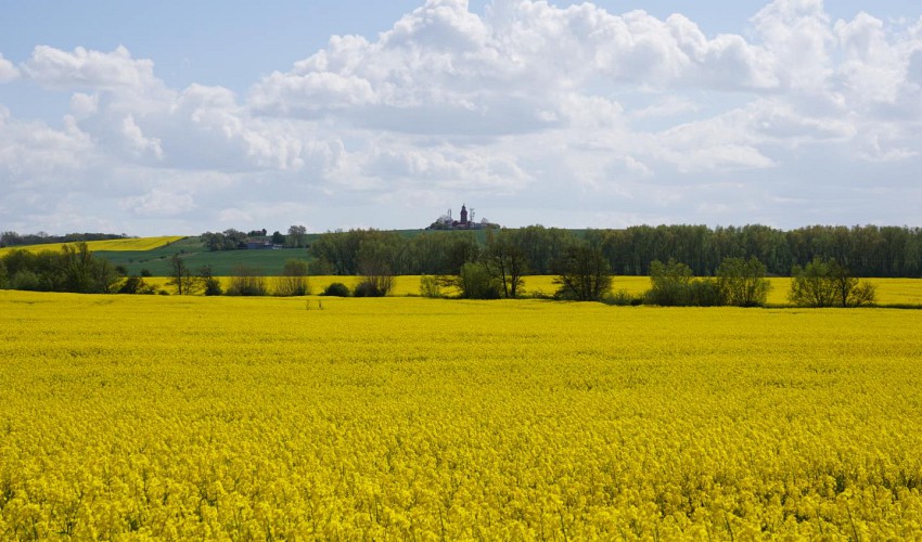 Leuchtturm von Bastorf