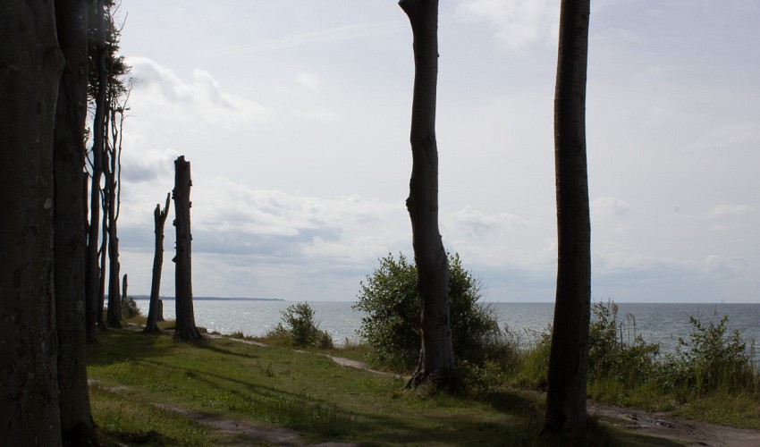 Blick in Richtung Heiligendamm