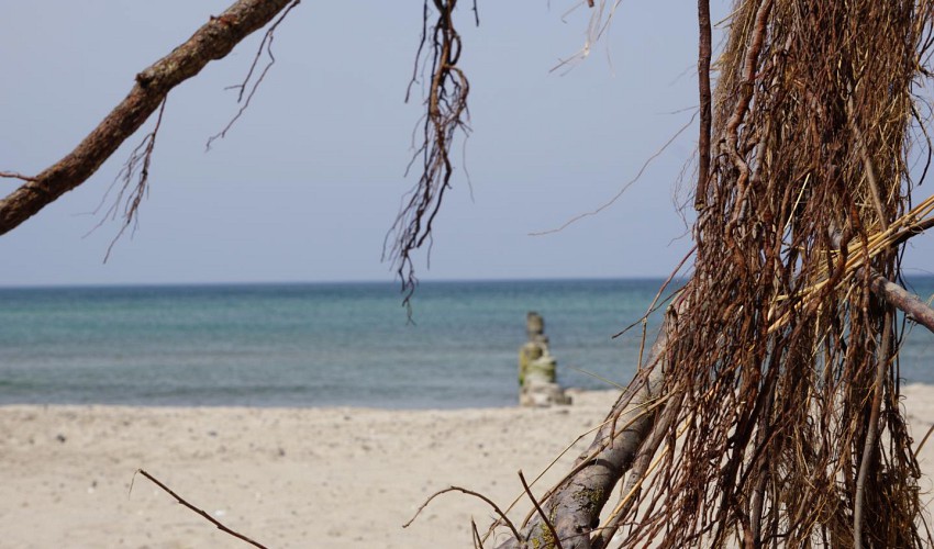 das Meer