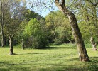 der Skulpturenpark am Herrenhaus