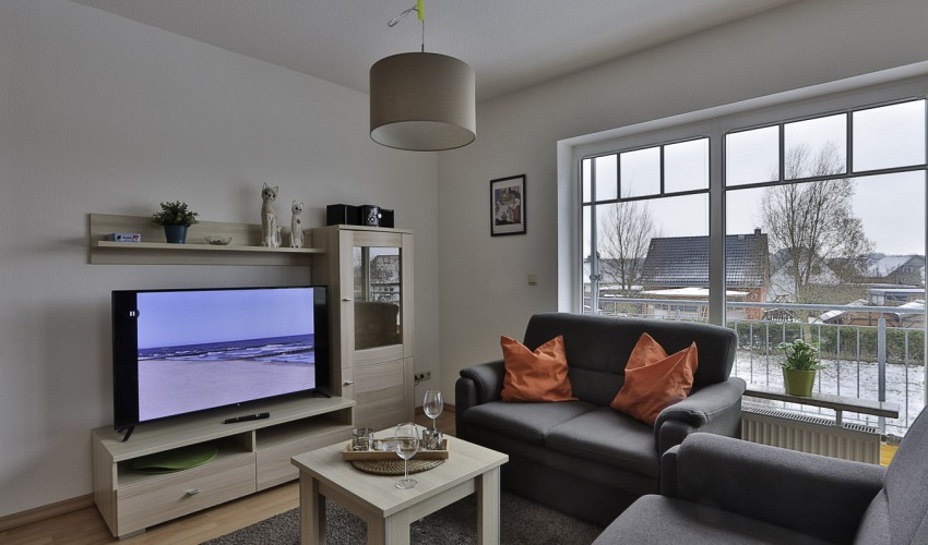 TV Couch