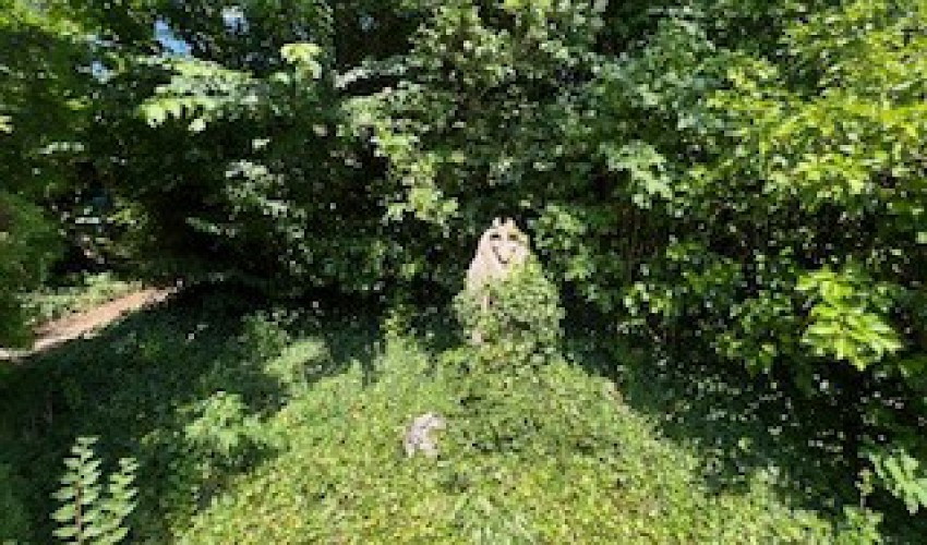 Ferienhaus Stine Ferienwohnung Villa