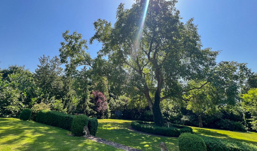 Park