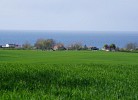 Blick auf die Ostsee