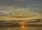 Der Horizont