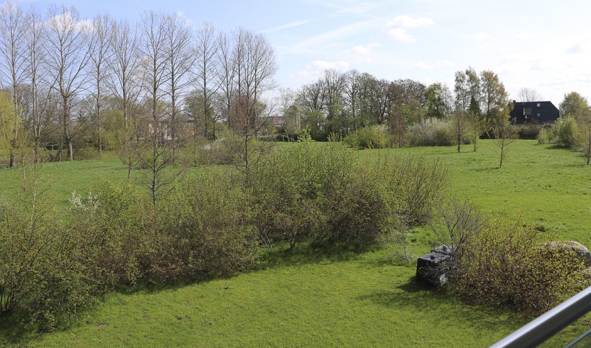 weitläufiger Garten