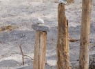 Strandfunde