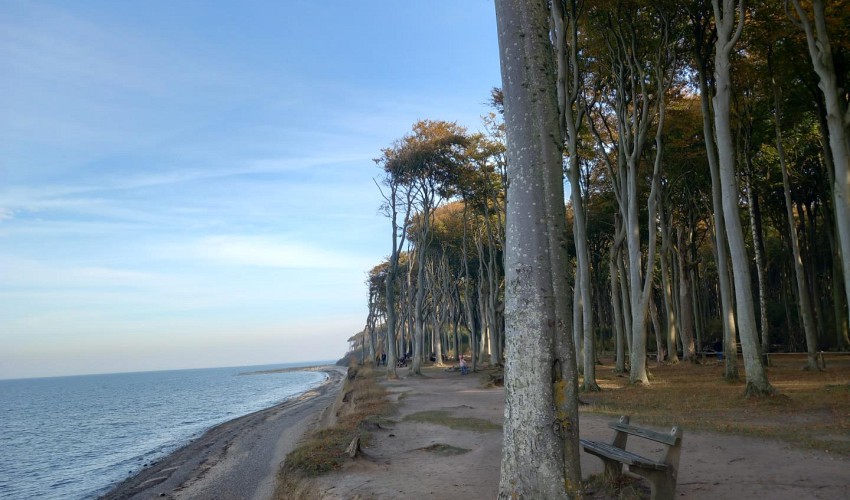 Steilküste Nienhagen