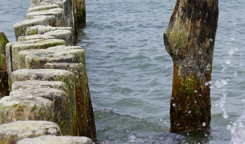 Ostseeimpressionen