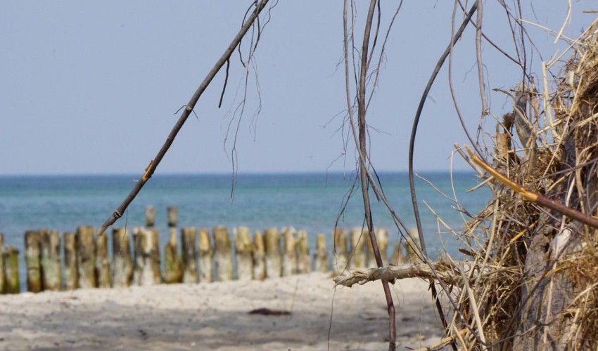 Ostseestrand
