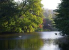 Blick auf den Teich