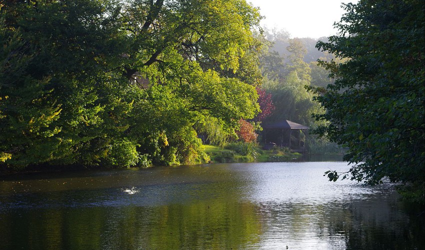 Blick auf den Teich