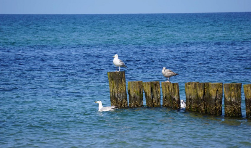 Blick auf die Ostsee