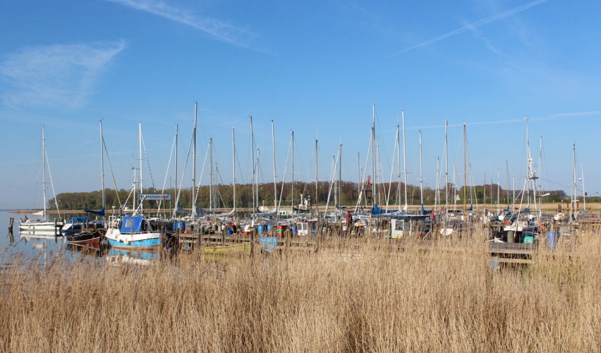Hafen von Rerik