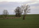 Freie Aussicht
