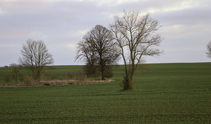 Freie Aussicht