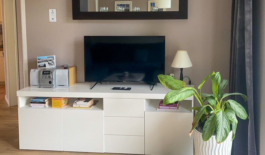 TV