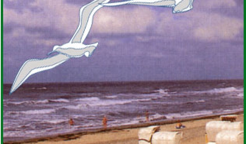 die Ostsee - eine Reise wert