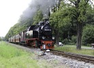 Der Molli kommt