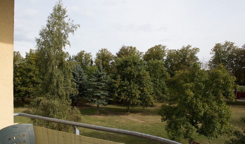 Blick vom Balkon ins Grüne