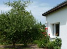abgeschlossenes Gartengrundstück