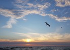 Ostsee