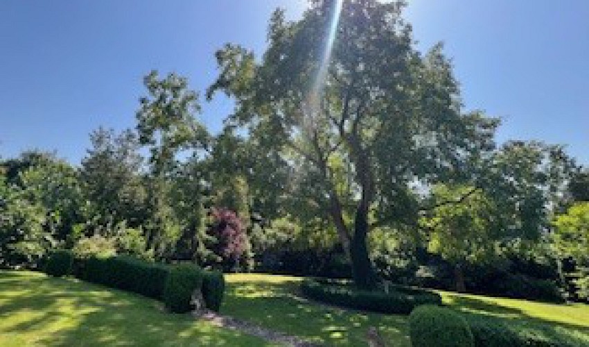 Ferienhaus Stine Ferienwohnung Villa