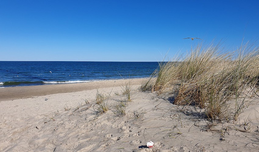 Strand