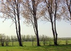 Blick in die 