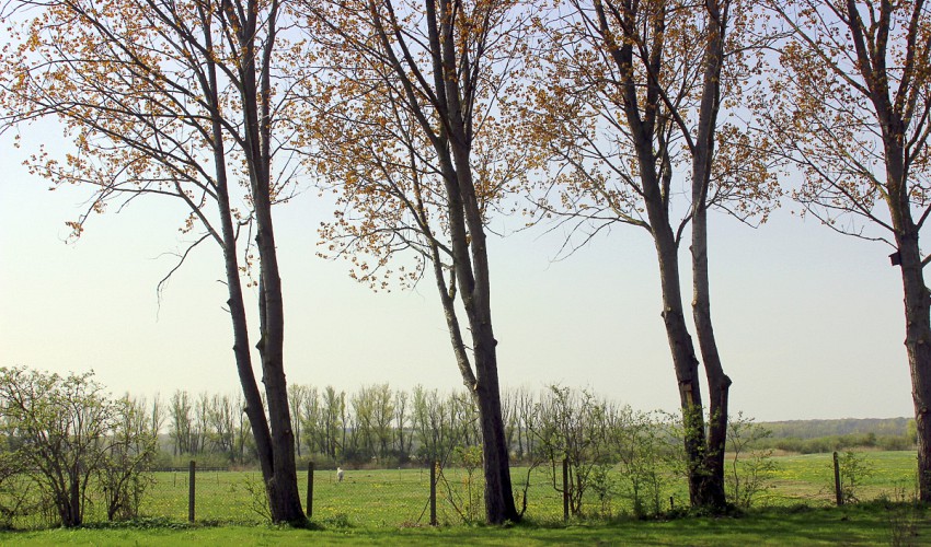 Blick in die 