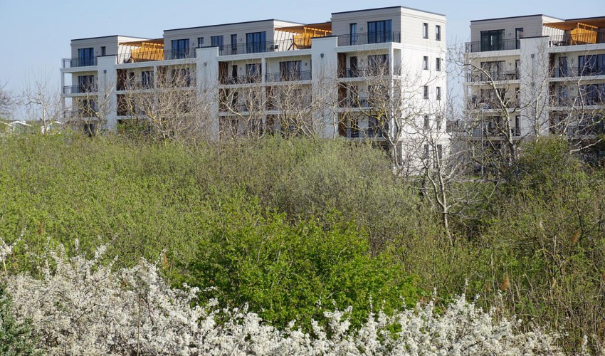 Cafe's und Restaurants