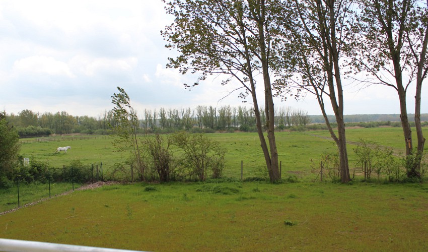 Blick in die Conventer Niederung