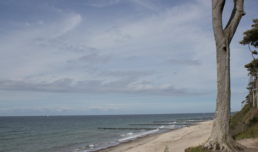 vom Wind geformte Landschaft