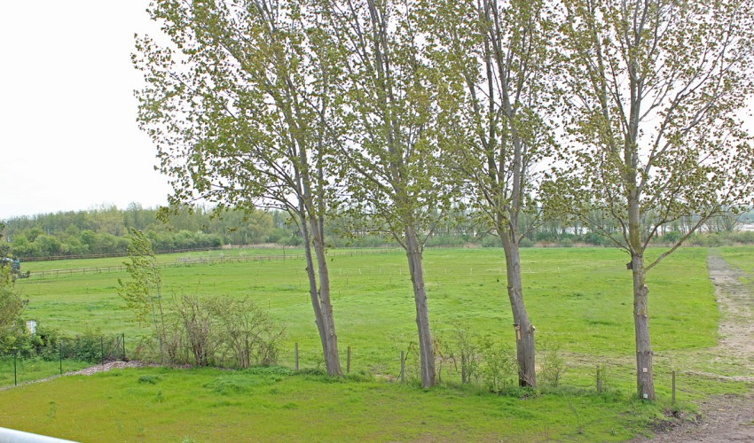 unverbauter Blick in das Landschaftsschutzgebiet