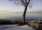 Winter am Salzhaff